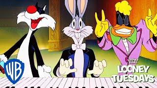 Looney Tuesdays | The Sound of Looney  | Looney Tunes | WB Kids