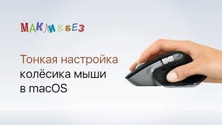 Тонкая настройка колёсика мыши в macOS (МакЛикбез)