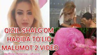 QIZIL SHALG‘OM HAQIDA TO‘LIQ MALUMOT 2 VIDEO