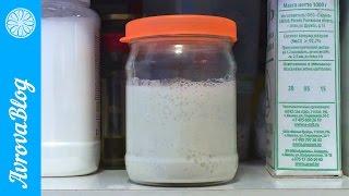 Breeding of sourdough on wheat flour in / grade, or whole grain, or 1 grade