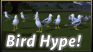 Seagull and Pigeon Flocks Anywhere! | The Sims 4 (CC by BakieGaming)