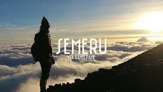 PENDAKIAN GUNUNG SEMERU VIA RANU PANE