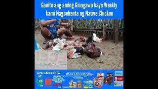 Weekly income sa Native Chicken Posible