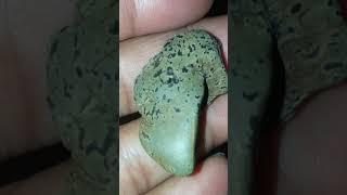 Meteorite stone( diomendic) first time from Bangldesh. Hunt by. Zahirul Islam.