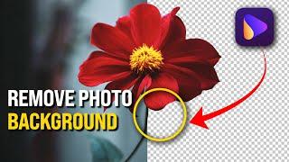 How to Remove the Background of Photos