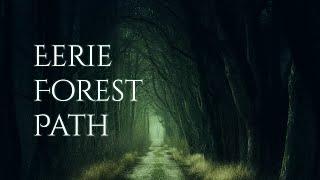 EERIE FOREST PATH Ambience and music | dark forest ambience with atmospheric music #ambientmusic