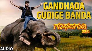 Gandhada Gudige Banda Audio Song | Gandhada Gudi 2 | Shivarajkumar, Rajkumar | Rajan-Nagendra