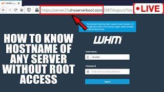 [LIVE] How to know Hostname of any server without having root access?