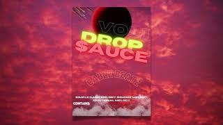 [FREE] LOOP KIT / SAMPLE PACK 2021 - "Drop Sauce" Vol. 1 (Pyrex Whippa, Wheezy, CuBeatz, Southside)