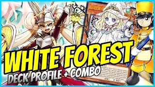 DAS SCHÖNSTE DECK IN YU-GI-OH! | WHITE FOREST TOY CENTURION | DECK PROFILE + COMBO