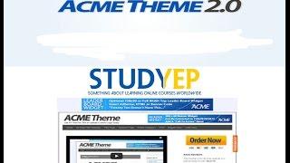 Acme Wordpress Theme