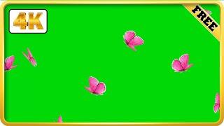 Pink Butterfly Flying Green Screen video loops