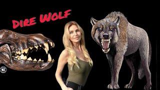 THE DIRE WOLF - THE MOST 'TERRIBLE' & HUGE WOLF EVER?