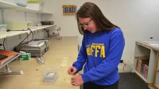 Careers at a Seed Testing Lab | SoDak Labs, Inc