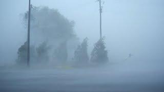  Listen, Relax & Fall Asleep With Heavy Rainstorm & Strong Winds - Hurricane Florence Eyewall Winds