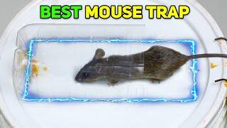 Best Mouse/Rat Trap Bucket | Mouse in Trap | Mice Traps/Mouse Trap Near Me | Mouse Catcher