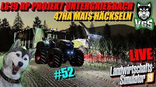 LS19 XXL Mais Häckseln Tag 2 mit Claas Jaguar 980 & Krone BiG X 1180 | RP Projekt Untergriesbach #52