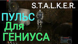 Артефакт Пульс для Гениуса.S.T.A.L.K.E.R.Игра душ.Эксельсиор