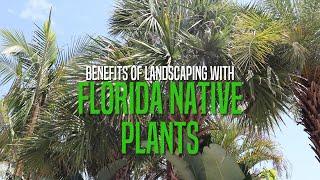 Benefits of Landscaping with Florida Native Plants