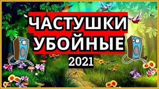  "УБОЙНЫЕ ЧАСТУШКИ!!" Ноги Сами В Пляс Идут!!!  Сергей Анацкий