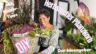 Die Geschenkidee: herbstlich gepflanzter Korb Dekoanleitung mit Tipps und Tricks