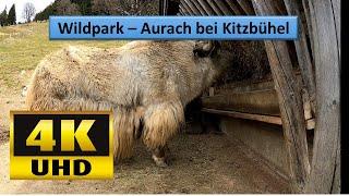 Wildlife park Aurach