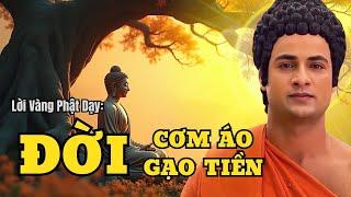 Lời Phật Dạy: Mỗi Người Chỉ Một Trái Tim - Nửa Mệt Mỏi Đời Cơm Áo Nửa Nặng Chấp Mê Phiền Não!