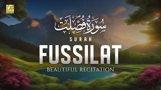 Surah Fussilat (سورة فصلت) Amazing recitation | Calm Voice | Zikrullah TV