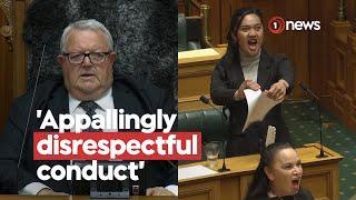 Inside the House as the Treaty Principles Bill debate erupted | 1News on TVNZ+