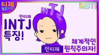 [MBTI 특징] - INTJ 인티제 특징 l 체계적인 원칙주의자라구!