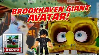 Brookhaven Giant Avatar SPONGEBOB, CATS AND FISH #roblox #robloxbrookhaven #robloxedit