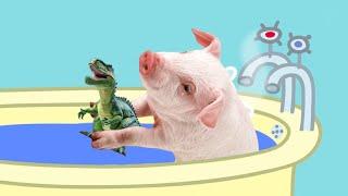 Real life Peppa Pig Parody Episode #2
