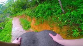 elephant ride gopro 2016