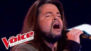 Muse – Starlight | Ayme | The Voice France 2013 | Blind Audition