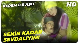 Kerem ile Aslı - Yüreğimdeki Sevdayı Dile Getirdim Beyim! | Fatma Girik Kadir İnanır Eski Türk Filmi