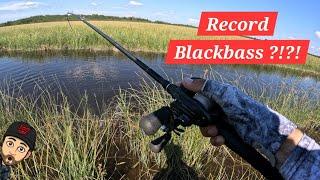 Record BlackBass !?!?