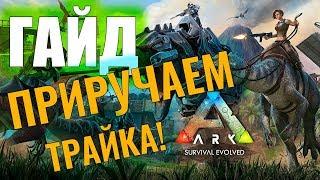 КАК ПРИРУЧИТЬ ТРАЙКА? #ГАЙД ДЛЯ НОВИЧКОВ! Ark: Survival Evolved #2