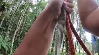 Zip line in Bali, Indonesia