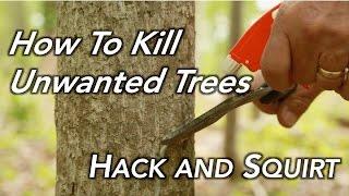 How To Kill a Tree | Hack and Squirt
