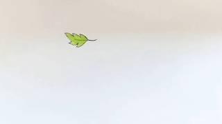 Falling Leaves  - Classic Animation