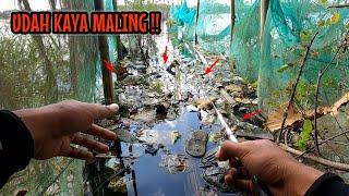 UDAH KAYA MALING‼️NEMU SPOT DI CELAH2 KERAMBA IKANNYA BANYAK BANGET || mancing red devil NAHOL MANIA