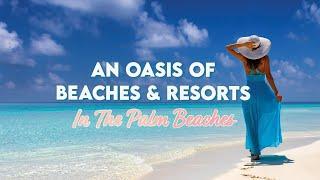 An Oasis of Beaches & Resorts in The Palm Beaches PBTV NOW