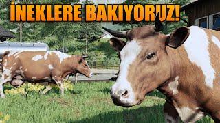 İNEKLERİN BAKIMINI YAPIYORUZ! FARMING SIMULATOR 2019 TÜRKÇE!!