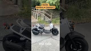 Honda Ruckus or Zoomer NPS50