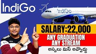 IndiGo Recruitment 2023 | Airport Jobs After Graduation | Latest jobs 2023 in Telugu |@VtheTechee