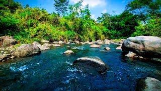 Mountain river flow, Nature sounds, Relaxing White Noise, Sounds for Sleeping