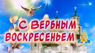 Вербное Воскресение поздравления от души ️ Красивое поздравление С Вербным Воскресеньем