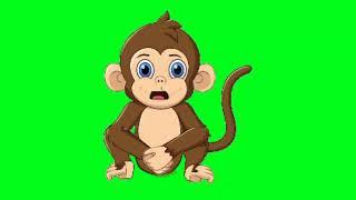 talking monkey#green screen with fun