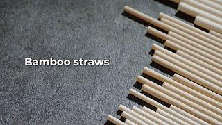 Bamboo Fiber Straw #karatearth