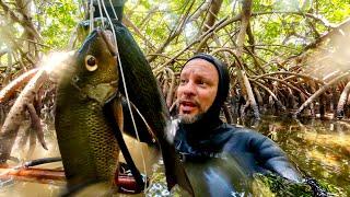 Back in The Mangroves | Unbeatable Fish Sandwich